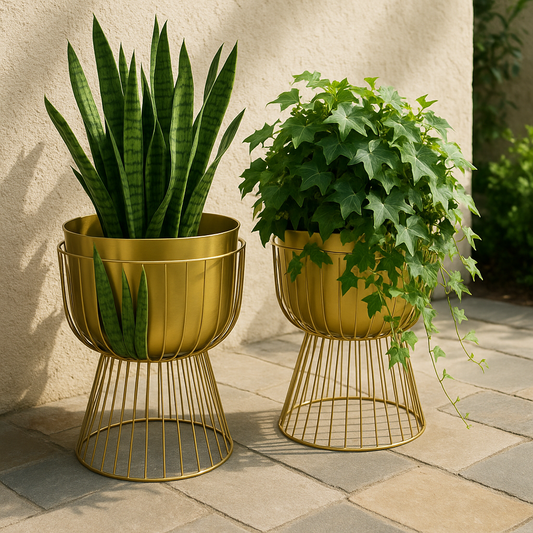 Carole Set of 2 planters with stands
